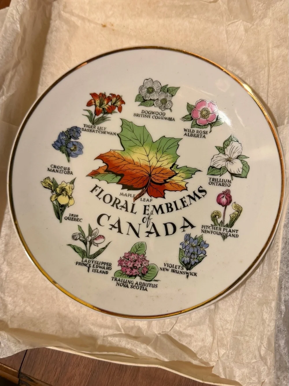 Floral Emblems of Canada Decorative Plate - Maple Leaf Motif